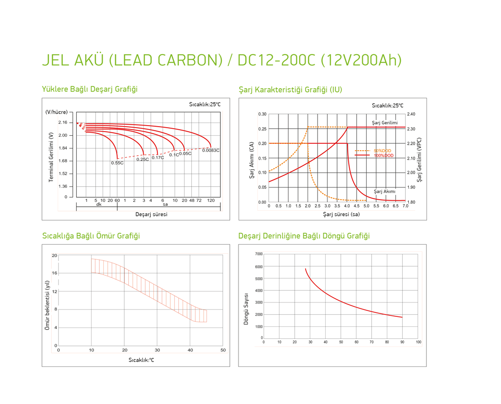 DC12-100 RITAR Carbon Akü 100 Amper 12 Volt